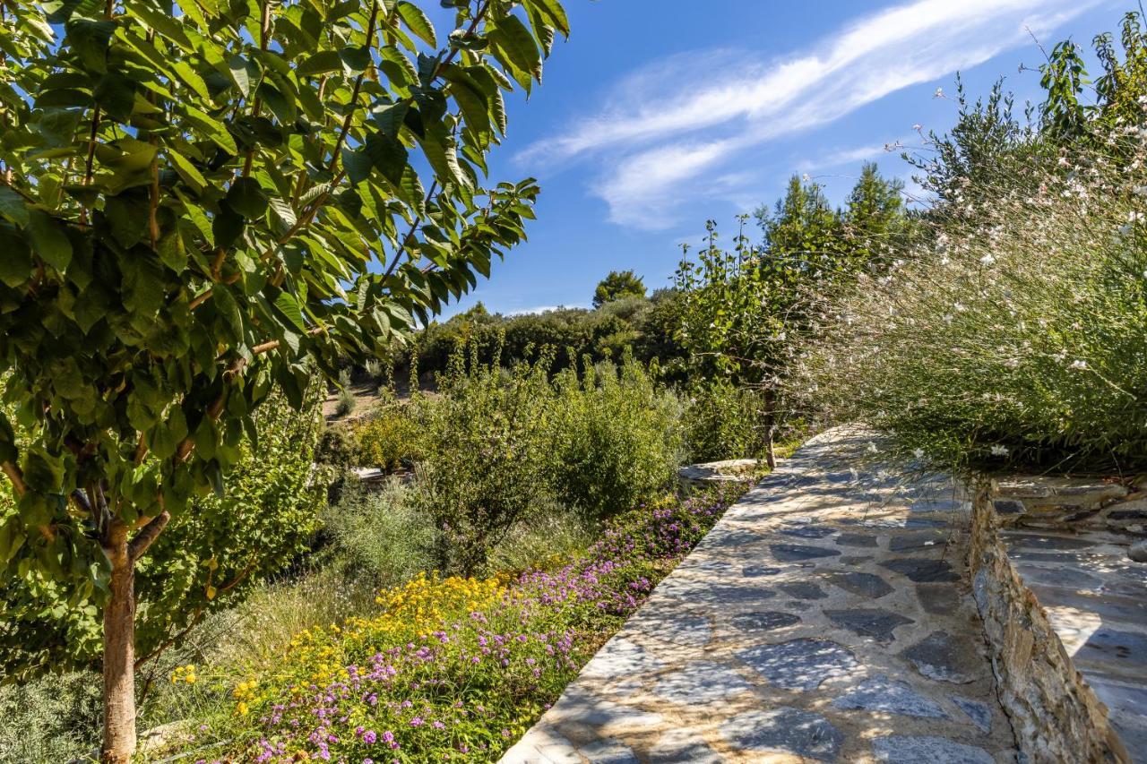 Villa Politimi Luxury Retreat Skopelos Town Bagian luar foto